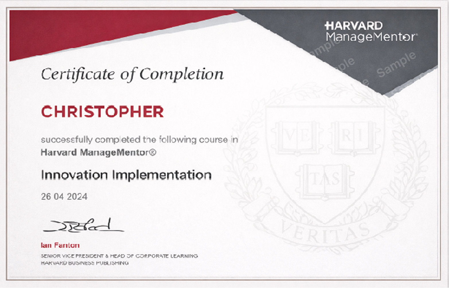 Harvard ManageMentor Innovation and Implementation certificate