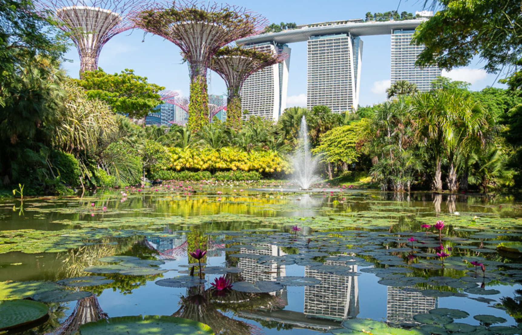 Gardens by the Bay sustainability and biodiversity activity