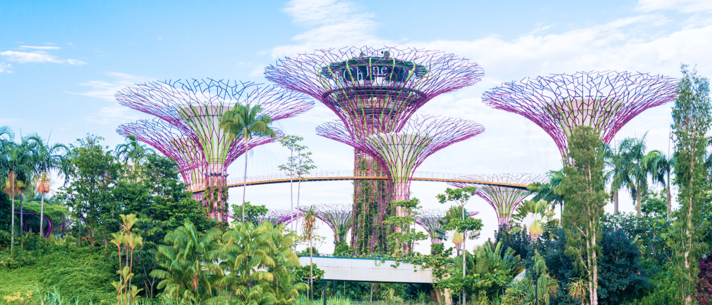 Gardens by the Bay in Singapore